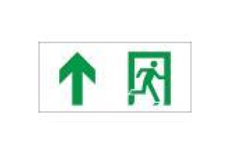 Аварийный светильник EHP2-01 11